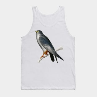 Vintage red-footed falcon bird-animalia clothing Tank Top